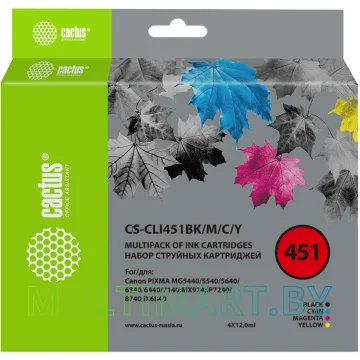 Картридж CACTUS CS-CLI451BK (аналог Canon CLI-451BK)